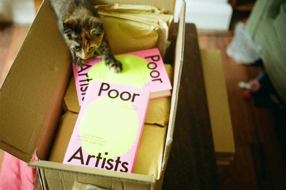 gab's kitten climbing into a box full of poor artists books