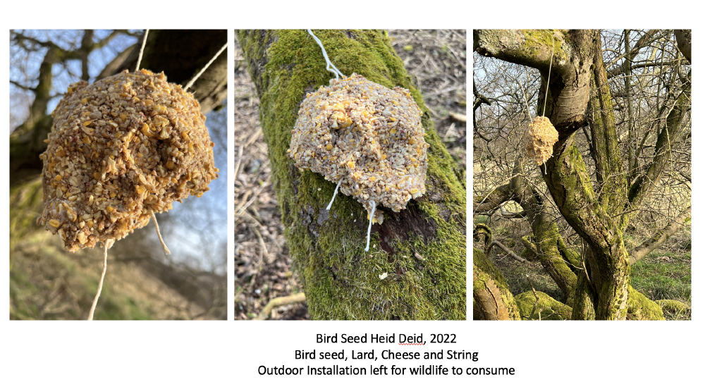 the artwork 'bird seed heid deid' is made of bird seed with lard, cheese and string, moulded into the shape of a face and then hung in the trees for wildlife to consume