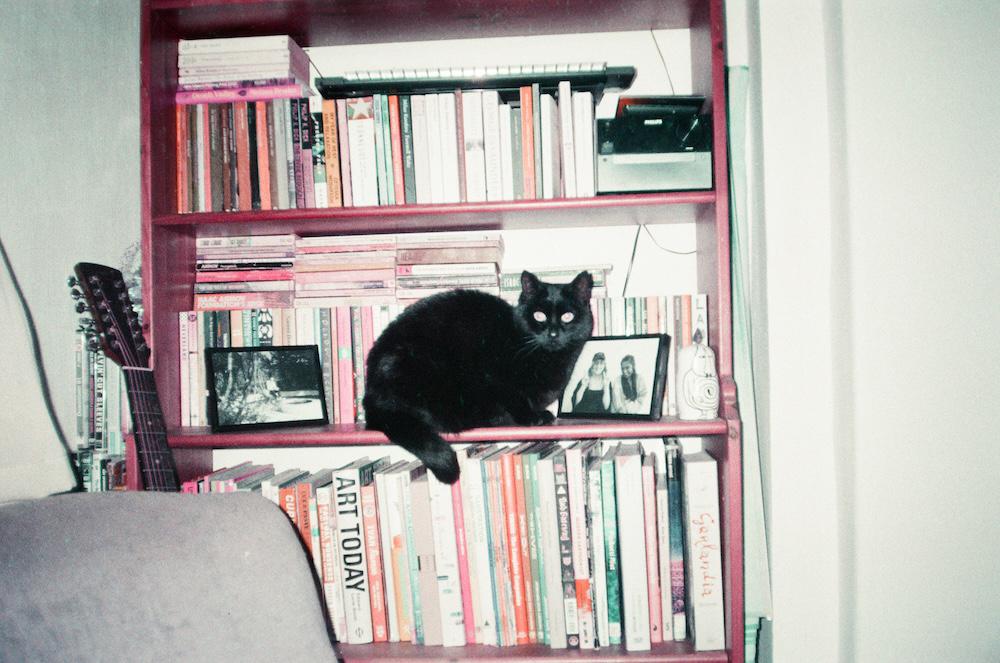 a black cat on a full bookshelf next to a guitar