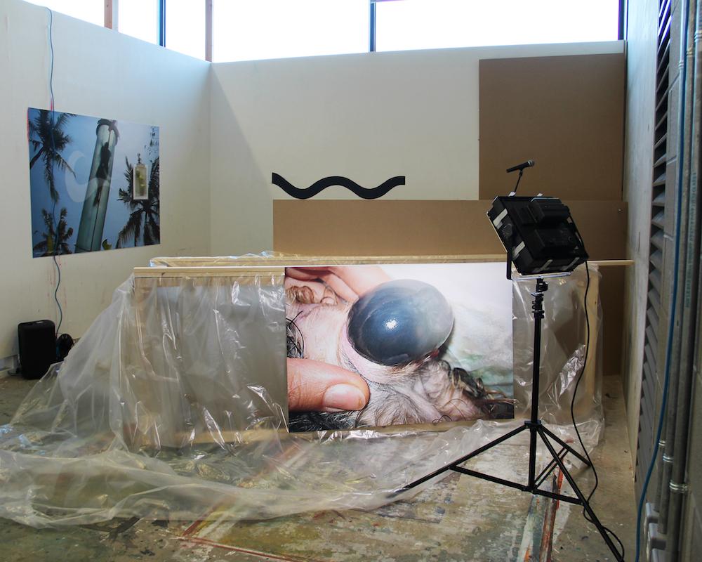 an installation called birth canal with a big wooden structure lined with plastic and filled with muddy water, a wooden 8 by 4 on its side, and a microphone and studio lighting set up in the set, but most notably there is an image on the side of a bath and if i remember correctly its a dog giving birth, with a grey black bulbous shape coming out of the skin, plus a wiggly black shape on the wood in the back, and a big print of someone on a waterslide on the left
