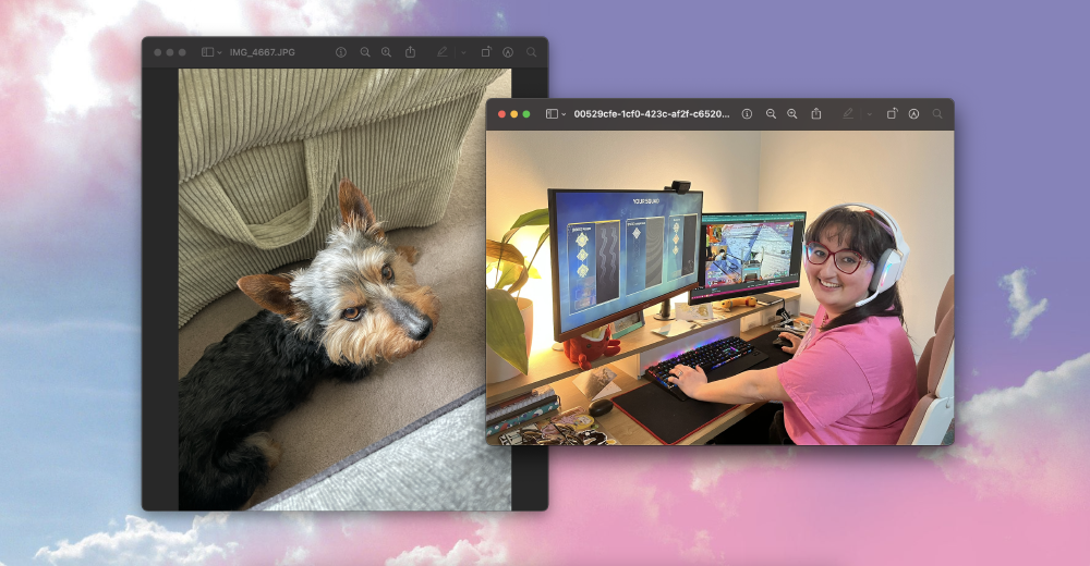 Lauren's dog Max looks up from the floor, and then Gabrielle is sat smiling at a two screen set up playing Apex Legends on mouse and keyboard
