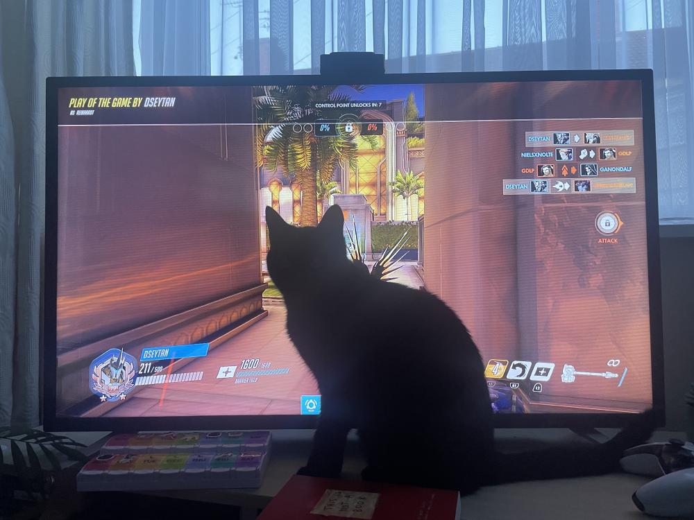 coco's silhouette in front of Overwatch on the telly