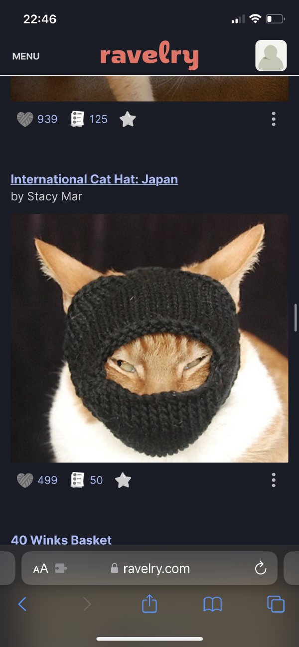 a cat in a knitted balaclava from a pattern on ravelry