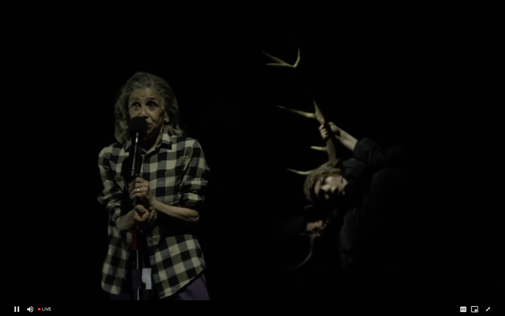 kathryn hunter on stage at the lowry in a flannel shirt speaking into a microphone in dark lighting with the hint of antlers behind her