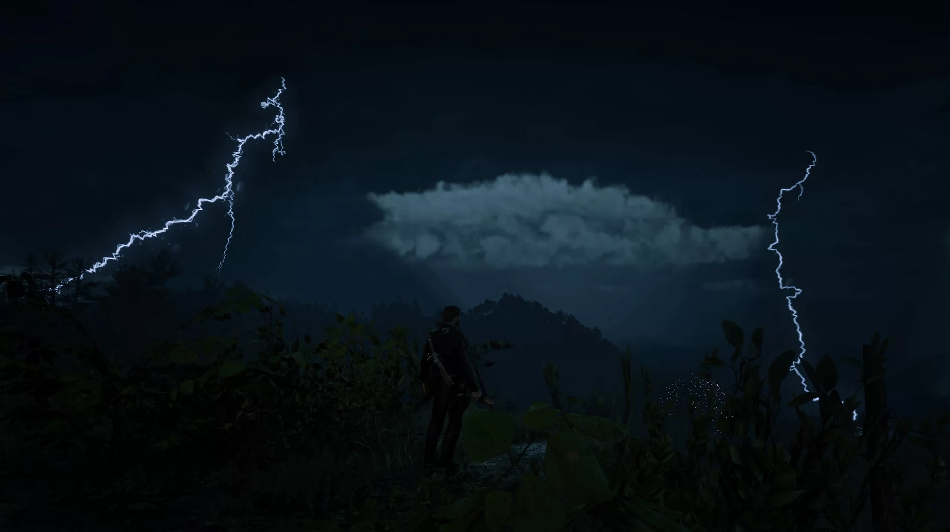 Red Dead Redemption 2 screenshot