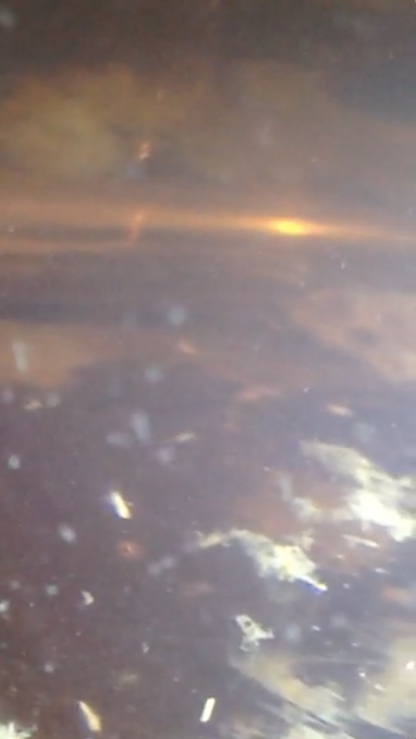 a closeup of little bits of floating material in the bottom of some water