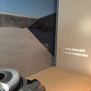 a slide carousel projector is shooting out the words &lsquo;of course plants don&rsquo;t thrive on a barren land&rsquo; on a wall