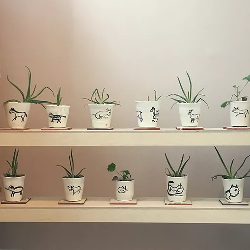 tiny white ceramic plant pots with animals drawn on them in black outlines