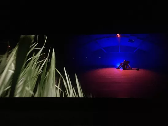 a dual video, one side showing grass blades against a night sky, and the other someone performing in a large hall