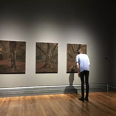 an image of michael lacey bending forward to look closely at one of three artworks on a wall, all realistic paintings of tree trunks