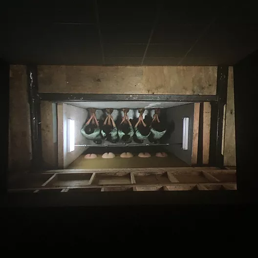 a shot from the ceiling shows women in a row doing something, while on the wall behind them there are bums poking through