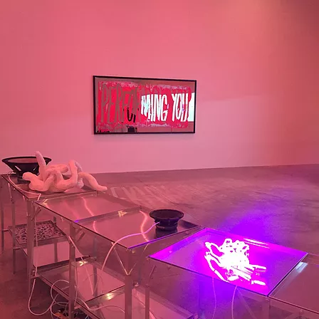 we can see some strange noodle like sculptures on the top of the shelves running through the middle of the gallery space, and one is lit up in pink neon