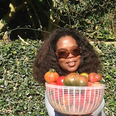 oprah presents a basket of home grown tomatos while she smiles
