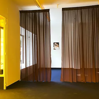 two thin brown curtains hang across the gallery space, with just a slight gap between them where people can enter the exhibition space