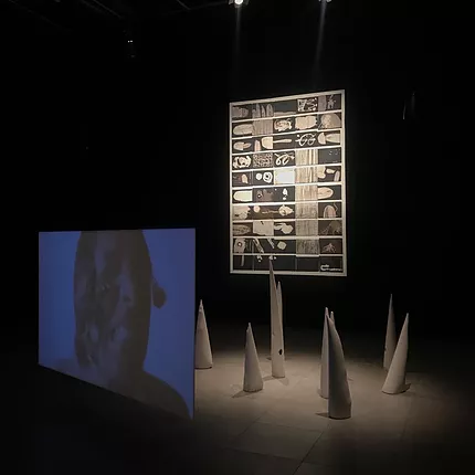 an installation shot shows white spikes coming out of the ground, with a black and white image hanging, and a projection of someone
