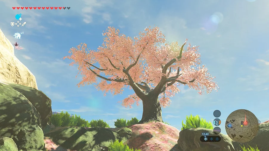 a cherry blossom tree against a blue sky