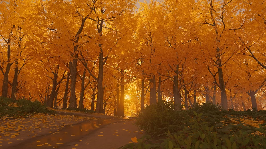 Bright amber leaves fill a forest scene as sunset comes through the trees
