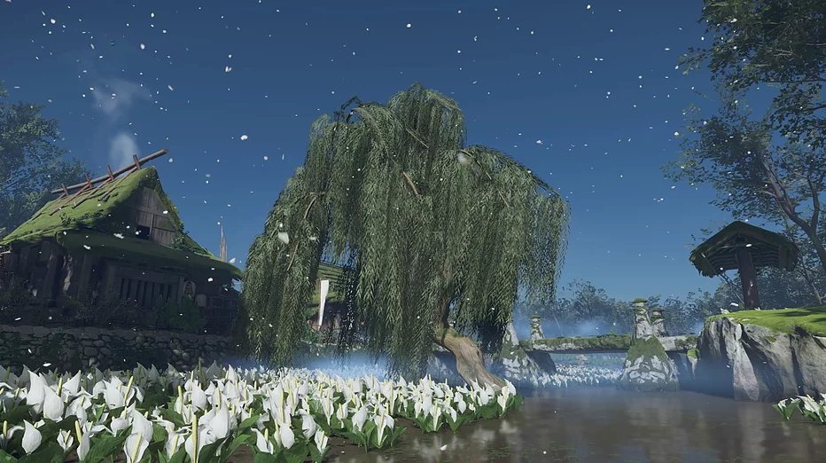 A huge willow tree in front of a building with plants growing over it, over a field of white flowers on a bright afternoon day