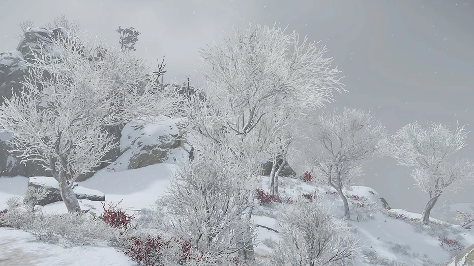 A snowy scene at the top of more hills, the branches of the trees are totally white