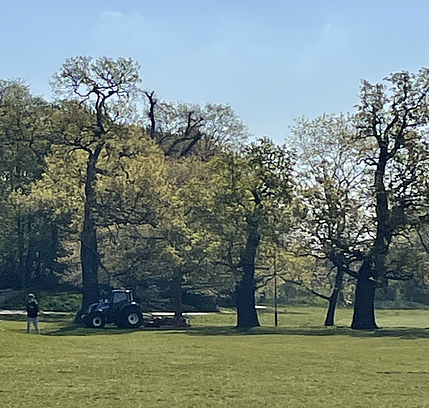 a tractor looks tiny against big trees