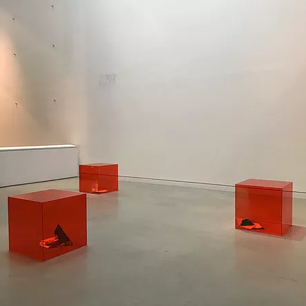 three translucent red cubes on the floor of a white cube gallery space with objects inside that arent quite readable