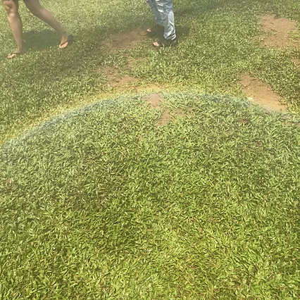 a rainbow is visible against the grass through the vapour and the sun