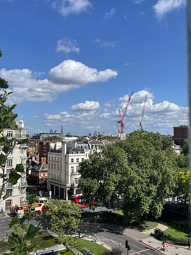 cranes over trees over big london buildings