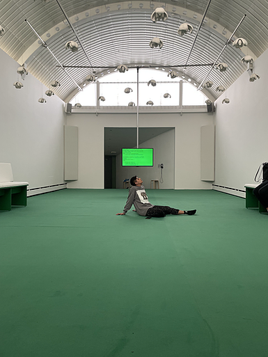 Seema, zarina&rsquo;s friend, sits in the middle of the exhibition on green carpet below loads of speakers hanging from the ceiling in the shape of white curled pieces like flowers or popcorn