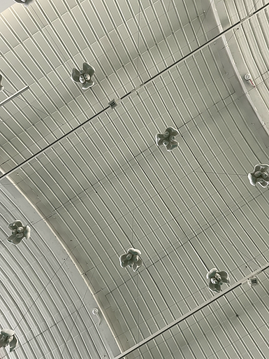 another shot of the speakers from below, looking like flowers in white plastic