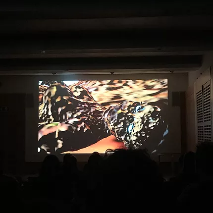 a projection shows a cgi image of someone lying back on really textured rocks and the person is made up of the same rocky texture