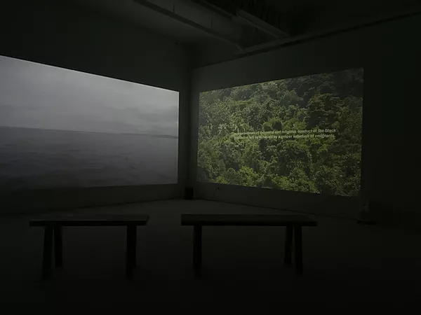 a dual projection shows overcast sea on one side, and a forest on the other