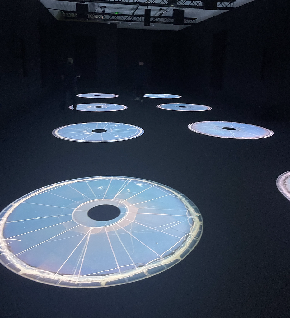 a dark gallery space shows 7 pale blue ultraviolet disks on the floor, they look like music disks, albums, cracked all over