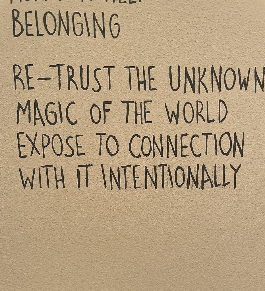 painting text on a wall says belonging, retrust the unknown magic of the world expose to connection with it intentionally