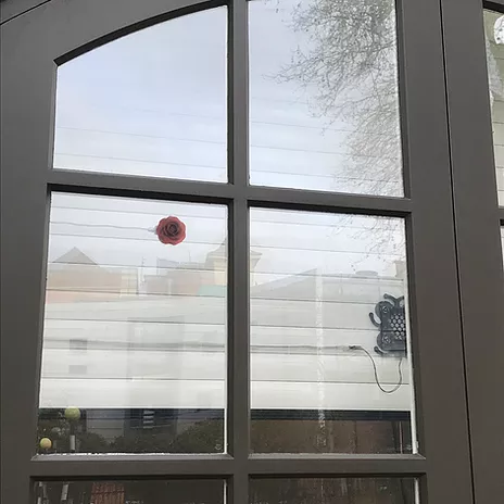 a window with blinds behind it and a small dark red rose between the blinds and the window
