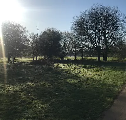 the floor looks a little frosty and the sun is bright as though it is early in the park
