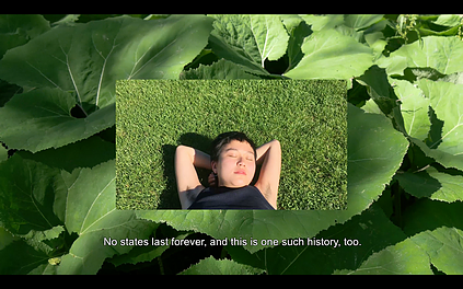 ssomeone is lying back in the sun on grass with their hands behind their head and the shot is overlaid onto another image of big leaves with the caption no states last forever, and this is one such history too