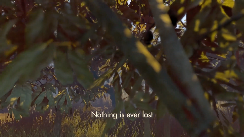 a close up of a branch with grass below says Nothing is ever lost