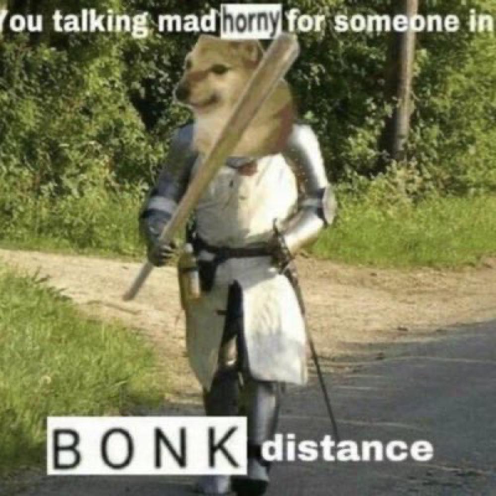 that horny bonk dog meme, but the dog is a knight wearing a suit of armour, and he’s saying ‘you talking mad horny for someone in BONK distance’