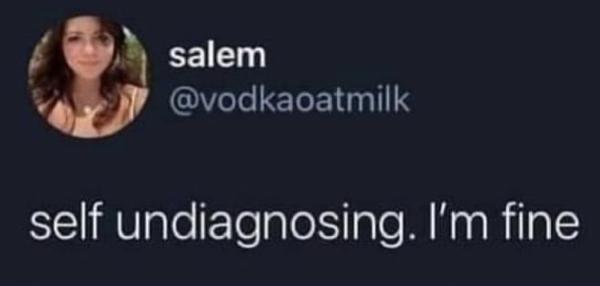 a tweet from vodka-oat-milk says self undiagonising. i'm fine