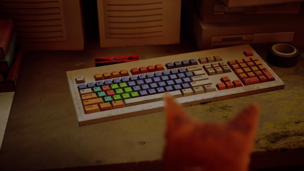 the cat looks at a colourful keyboard