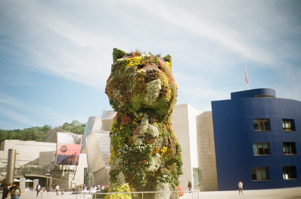huge 12 metre tall sculpture of a dog by jeff koons covered in flowers