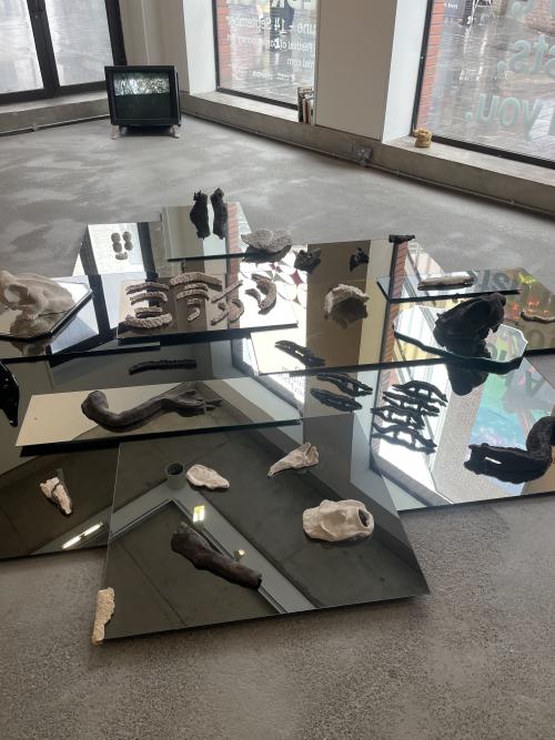 alice rekab installation at bluecoat